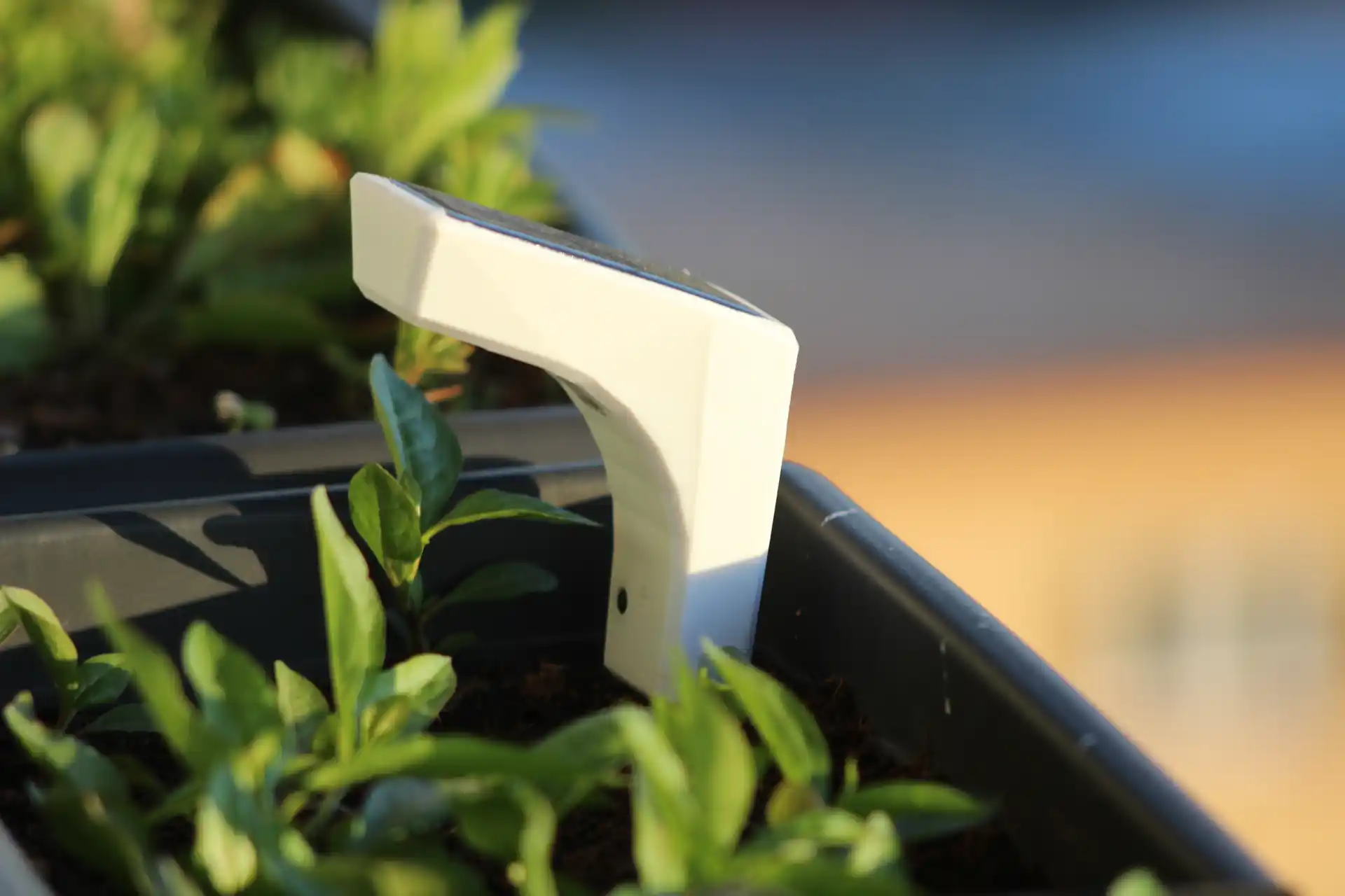Plantozor image 1