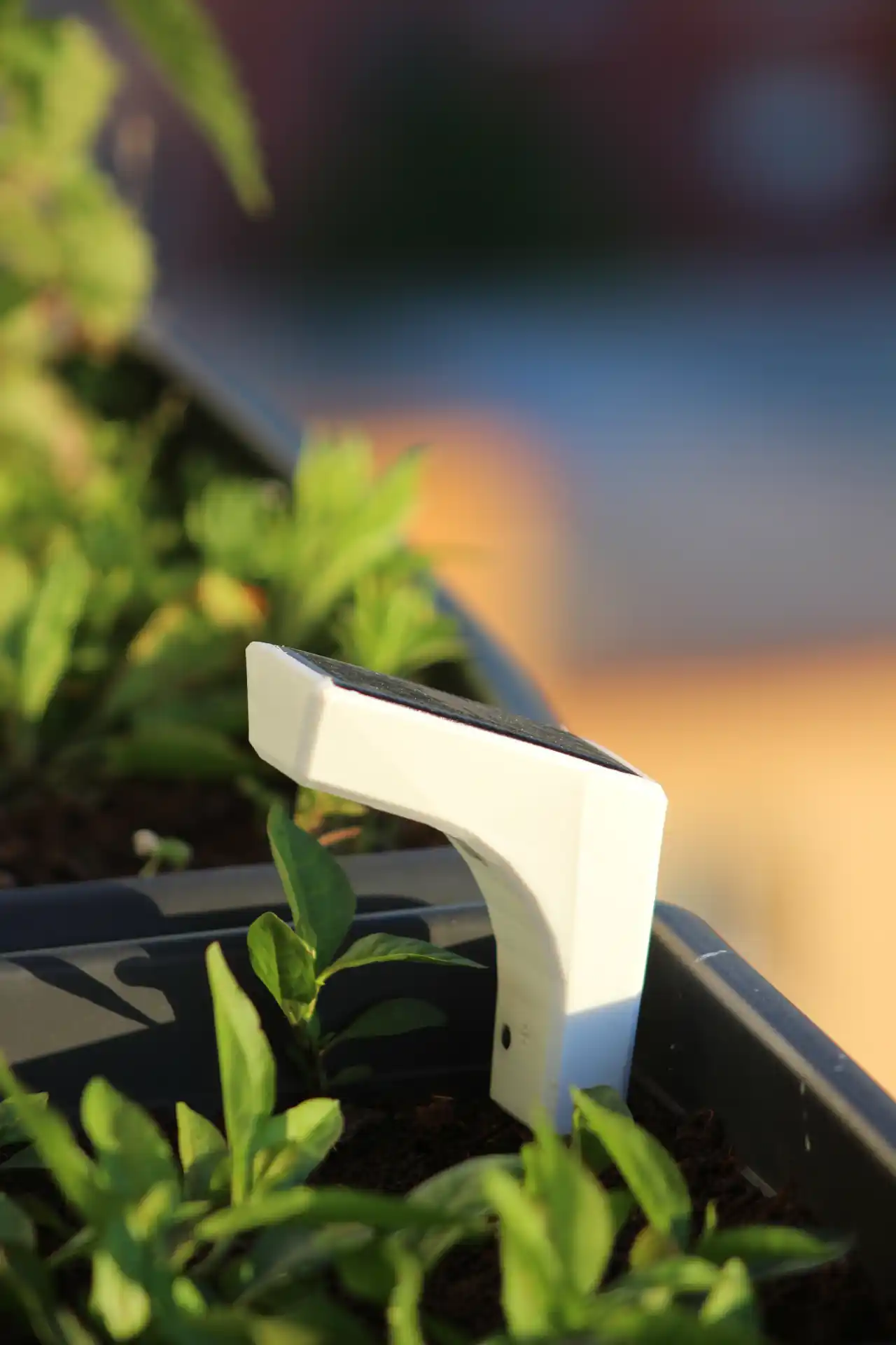 Plantozor image 2